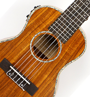 ±âŸ·¼·¹ SGL-250 (Pick-up)