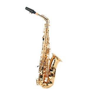 SAS-100A(¼¼±¤ ¾ËÅä »ö¼ÒÆù)
